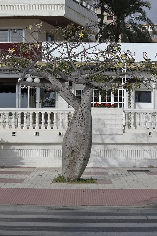 Bed & Breakfast Joy Beach B&B Torremolinos