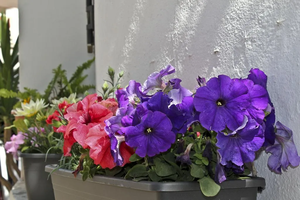 Joy Beach B&B Torremolinos Španělsko